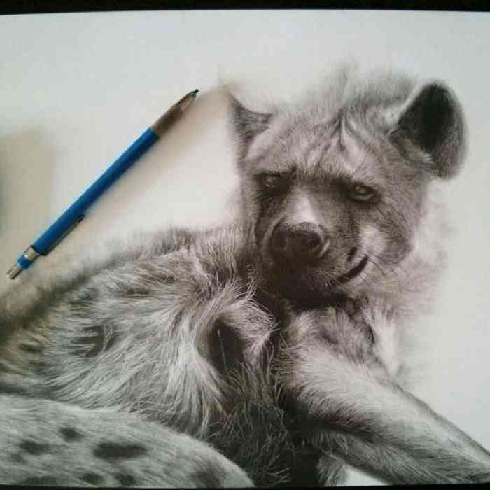 Black and white realistic animal coloring images