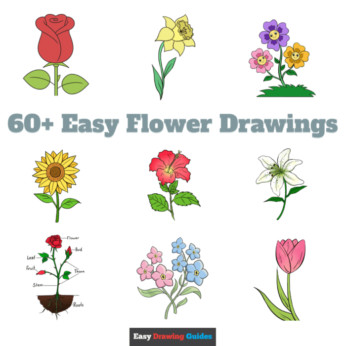 Easy drawing of flowers