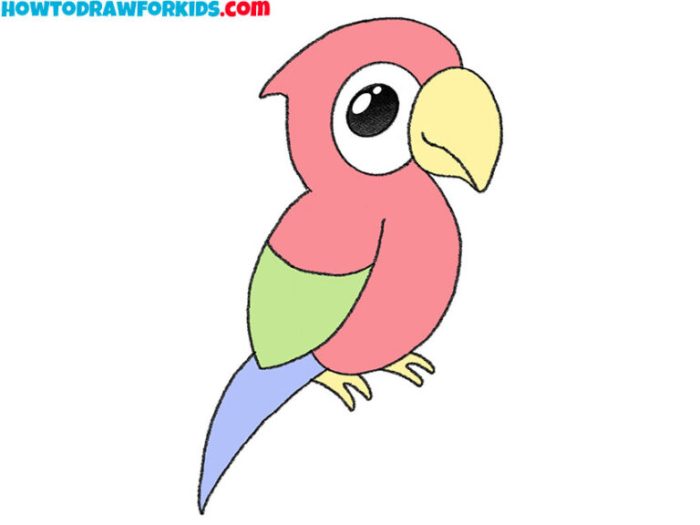 Easy simple macaw drawing