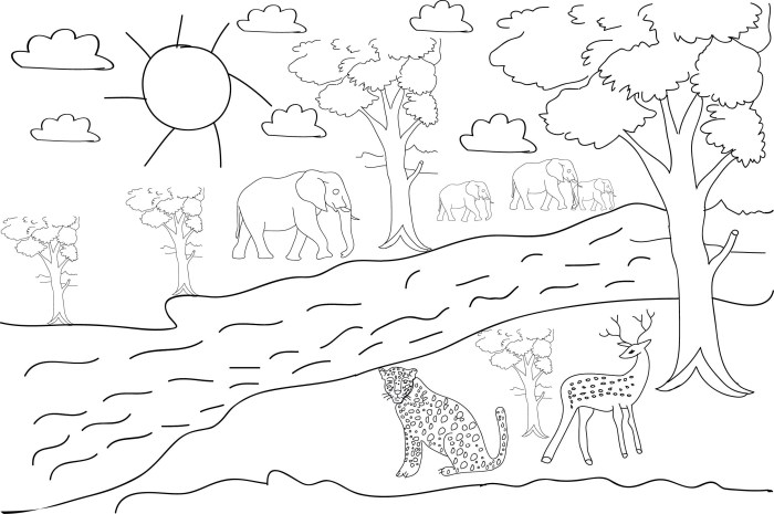 Coloring pages for animals in forest