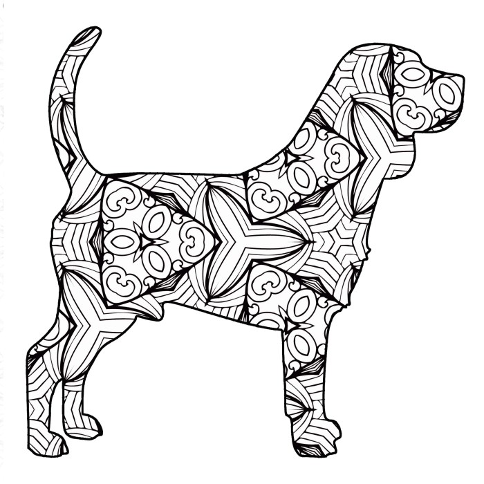 Free north american animals coloring pages