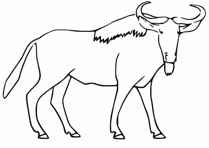 Easy drawing of a wildebeest