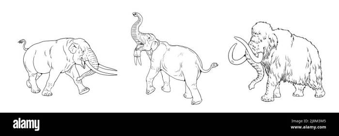 Aentangel animals coloring pages