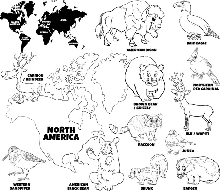 Free north american animals coloring pages