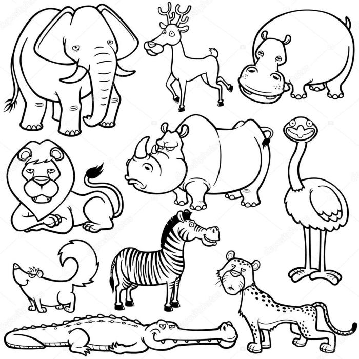 Coloring pages of indian animals