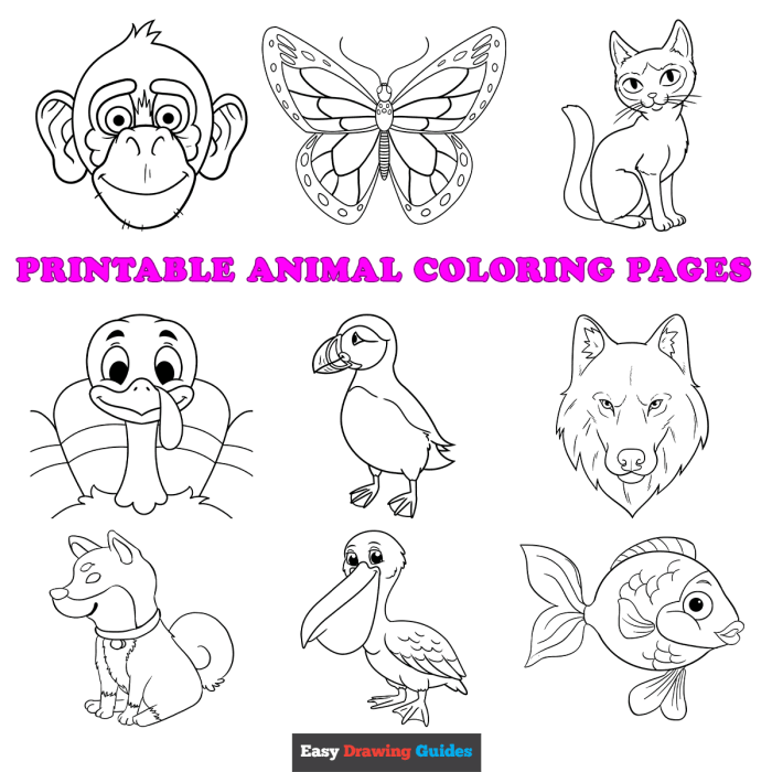 Printable animal coloring page