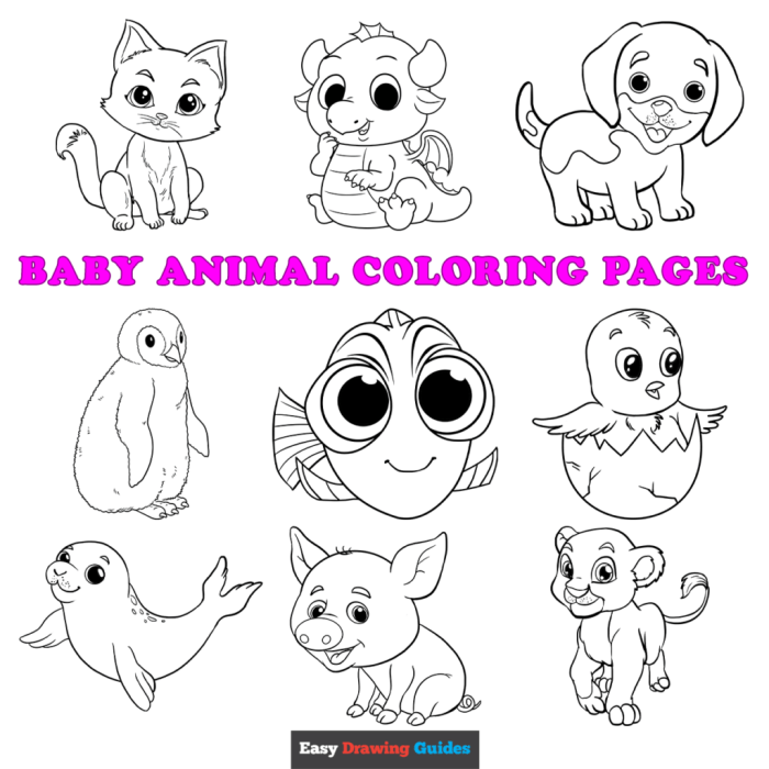 Coloring animals baby kids