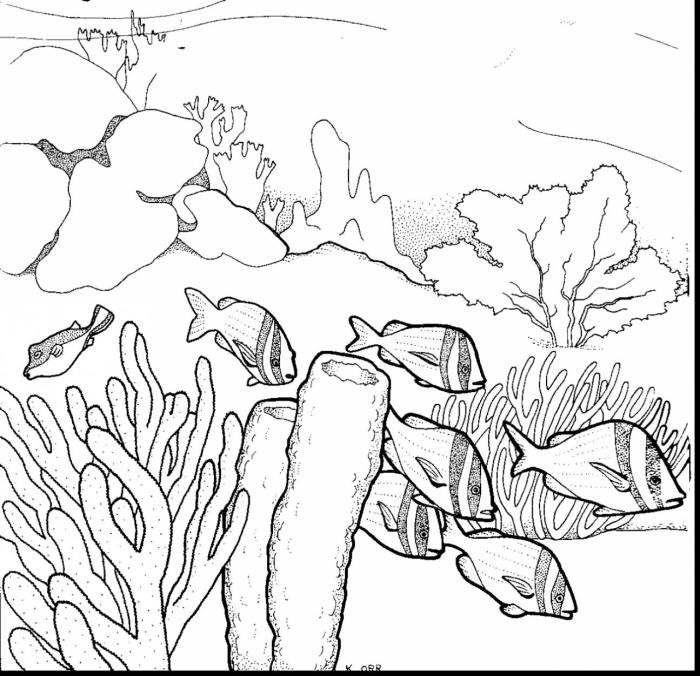 Ocean ecosystem drawing easy for kids