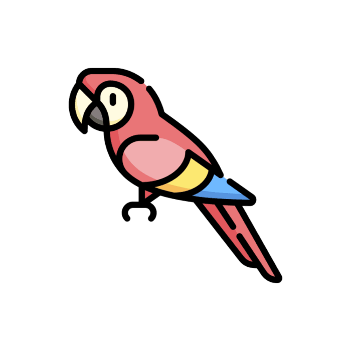 Easy simple macaw drawing