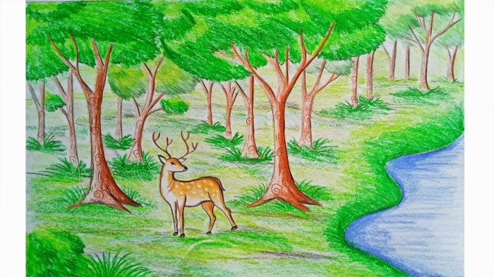 Forest drawing animals simple kids getdrawings