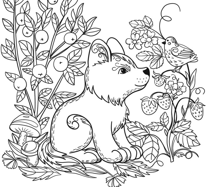 Animal clothes coloring pages