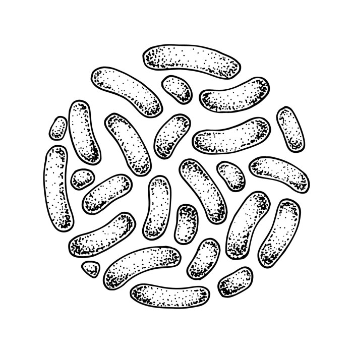 Bacteria cold drawing easy