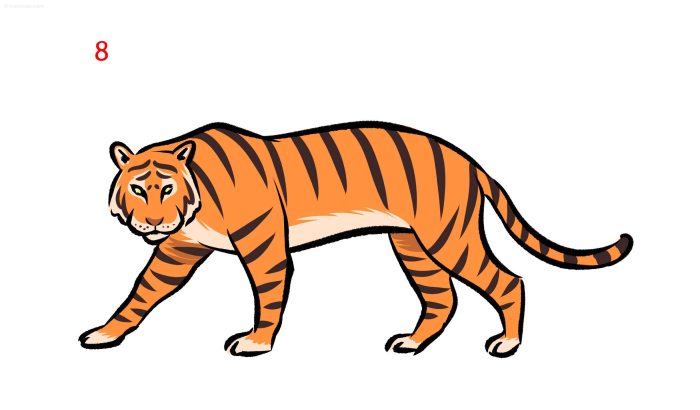 Easy tiger drawing for 8th grader