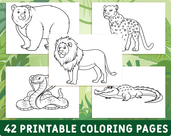 Coloring pages wild animals