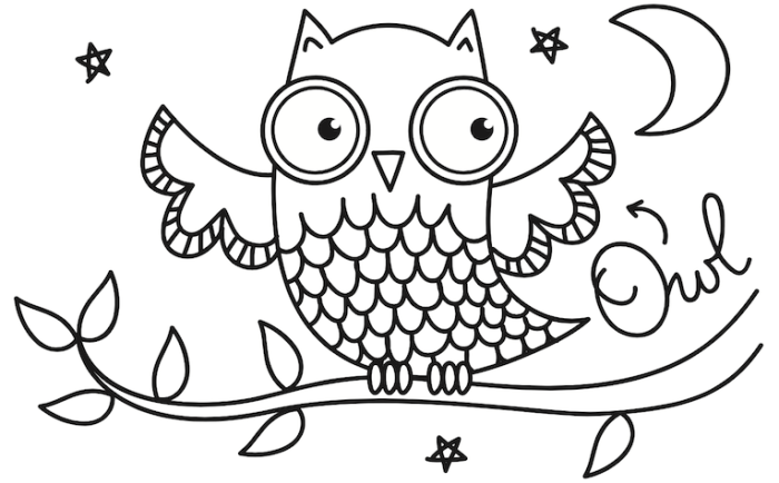 Coloring pictures of noturnal animals