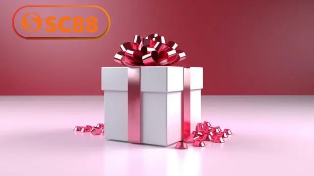 Quyền lợi dành cho tân thành viên